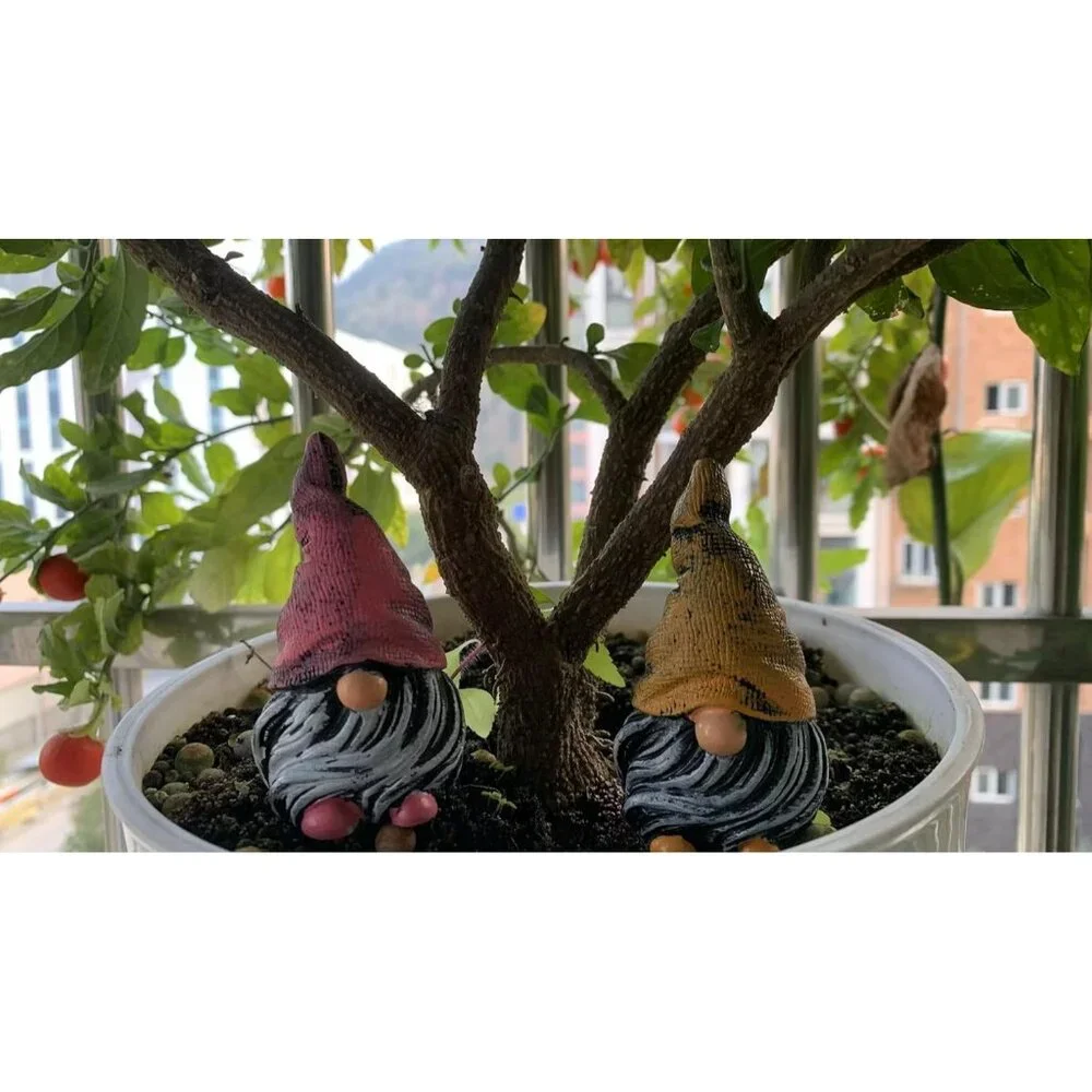 Whimsical Mini Gnome Figurines - 5-Piece Set for Indoor and Outdoor Use